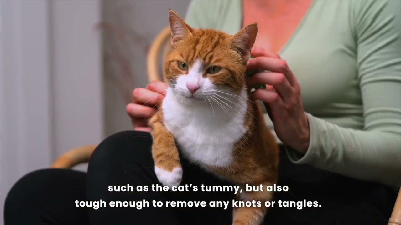 Pet Teezer How to use the Cat Grooming Brush