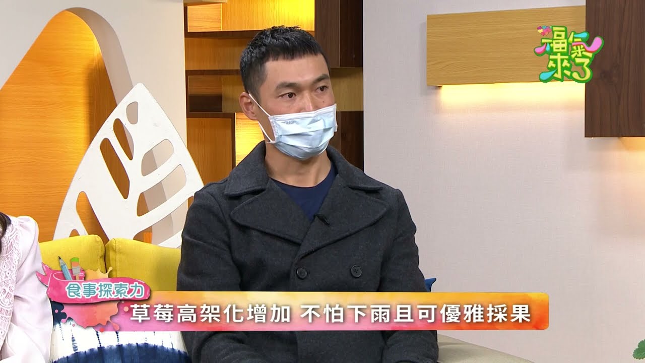 冬戀獅潭香水草莓—冬季療癒盛事！紅艷動人的香水草莓，苗栗獅潭體驗採果樂趣｜2022《福氣來了 食事探索力》EP4
