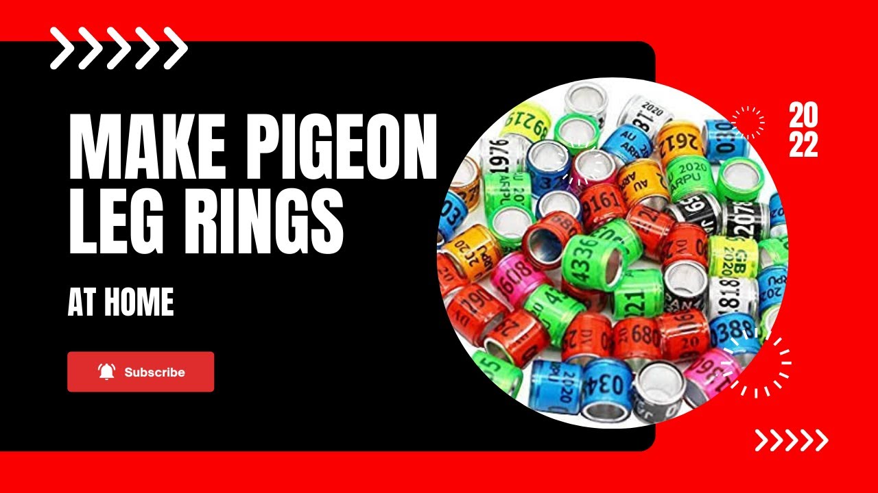 How To Make Pigeon Rings At Home