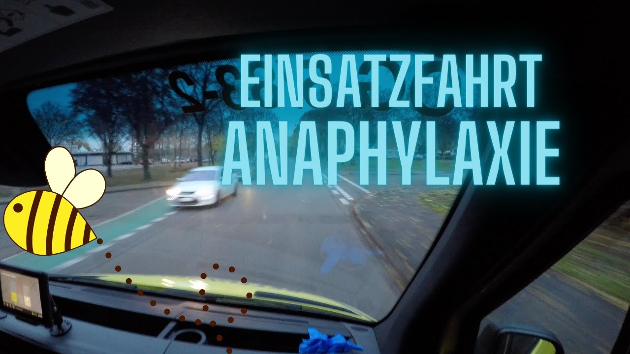Einsatz ANAPHYLAXIE 🐝Grad 2 - Inside View Rettungsdienst - Einsatzfahrt hautnah
