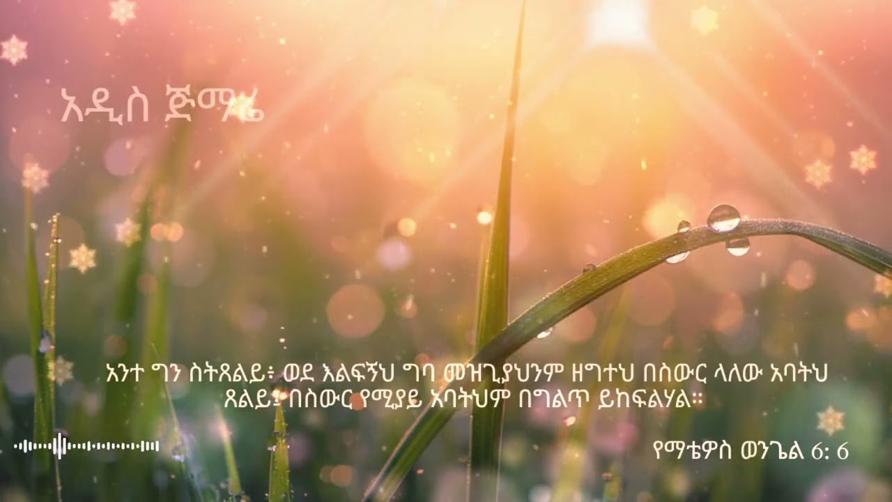 1 ስዓት የጸጥታ ጊዜ ከመንፈስ ቅዱስ ጋር ፤ መሣሪያዊ ሙዚቃ ለመንፈሳዊ ተመስጦ ፡ #መንፈሳዊ #ትምህርት #ጸሎት #መጽሃፍ #ውይይት #መዝሙር