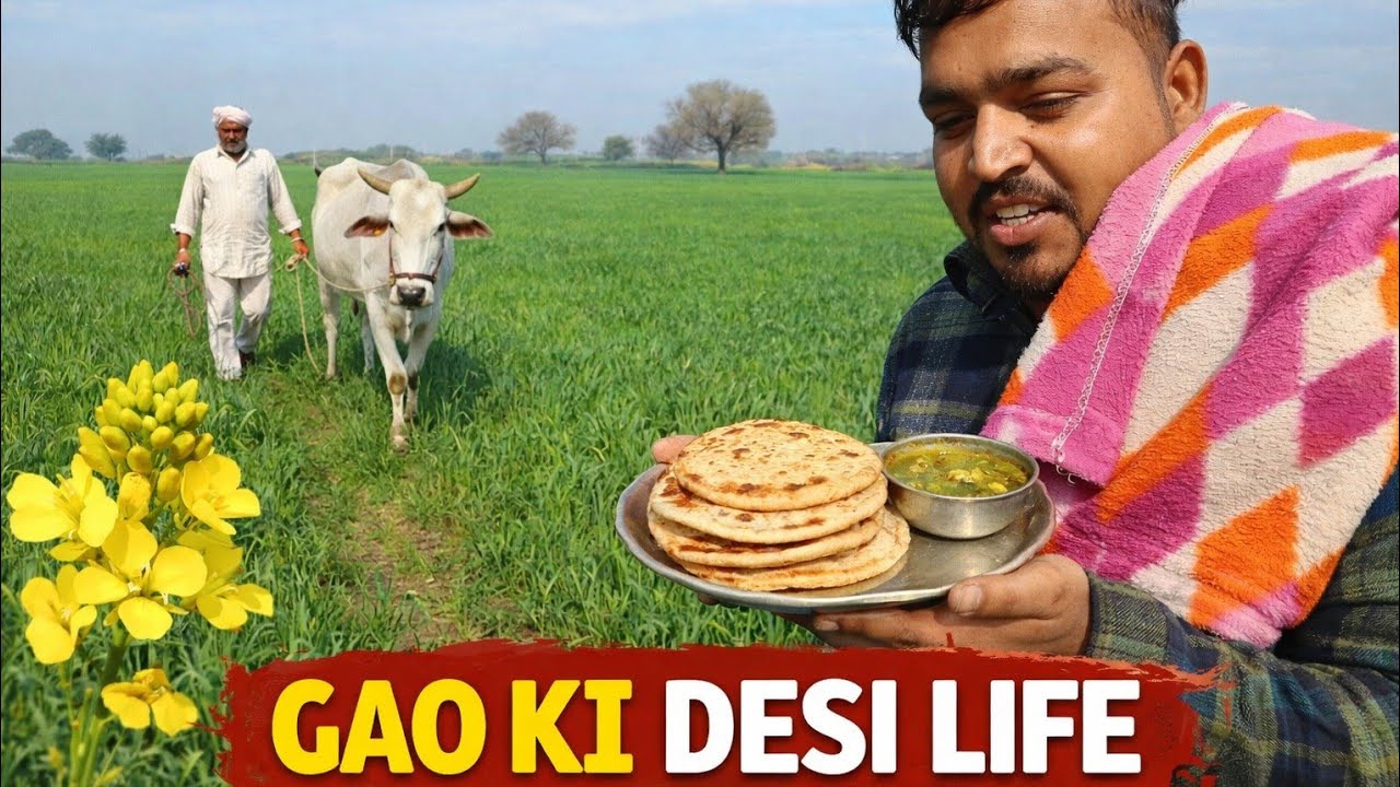 Gaon Ka Asli Sukh 😍 | Desi Life Vlog #gaonkiaslisukh#sarsonkekhet#basantdahiyavlog#indianvlog#viral