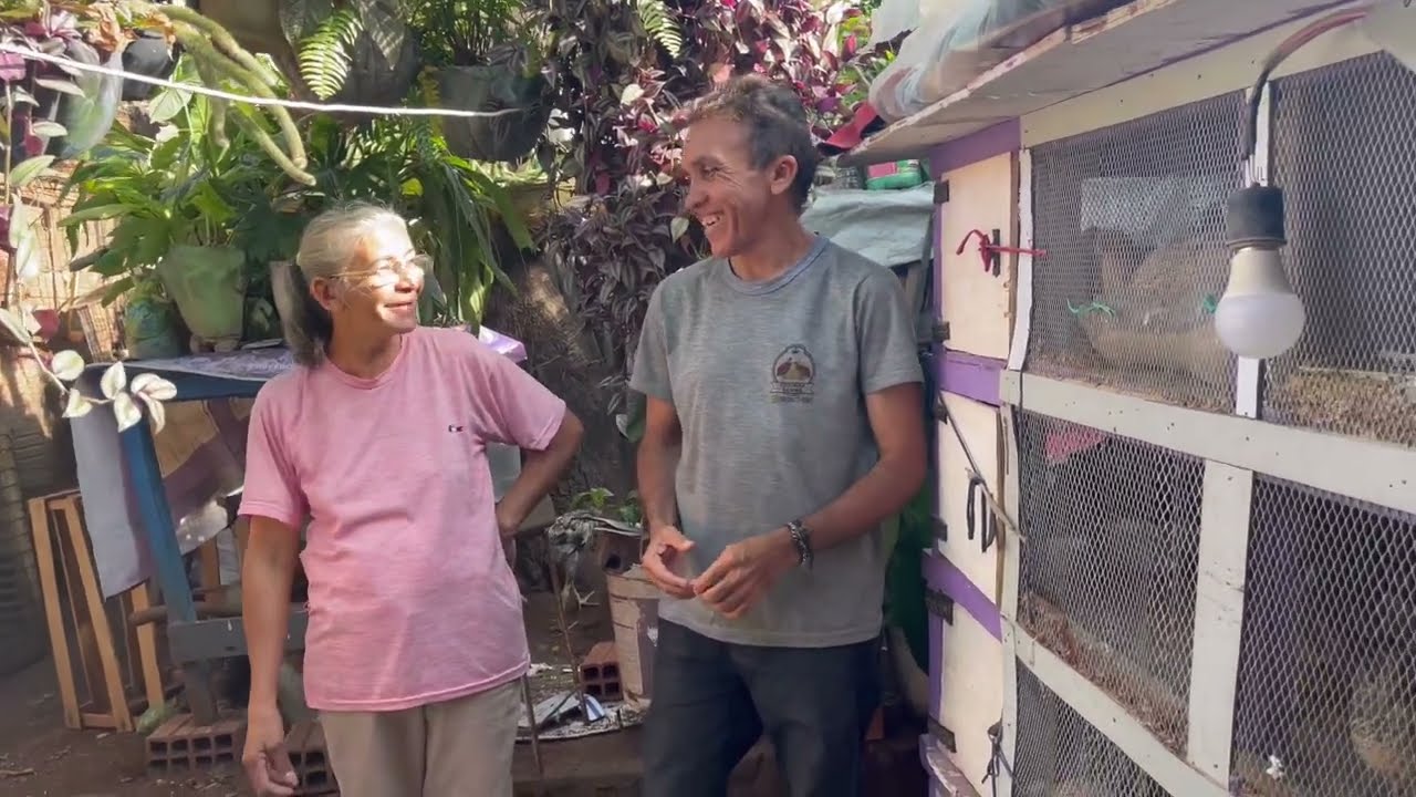 PENSE NUMA CRIADORA DE CODORNAS “ DESENROLADA” …