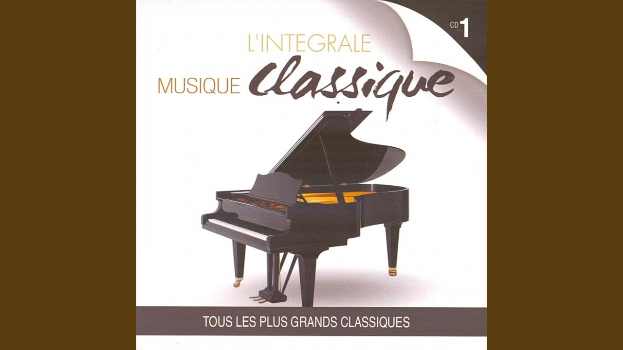 Petite musique de nuit : Allegro