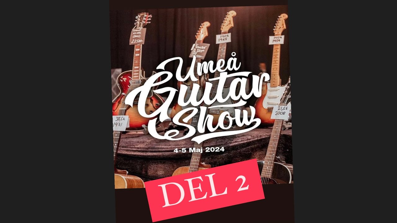 Umeå Guitar Show 2024 del 2
