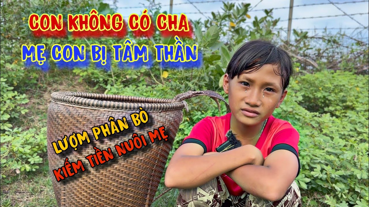 ĐỨA BÉ không biết CHA là ai, cuộc sống vất vả, lượm phân bò đổi CƠM GẠO - tập 877