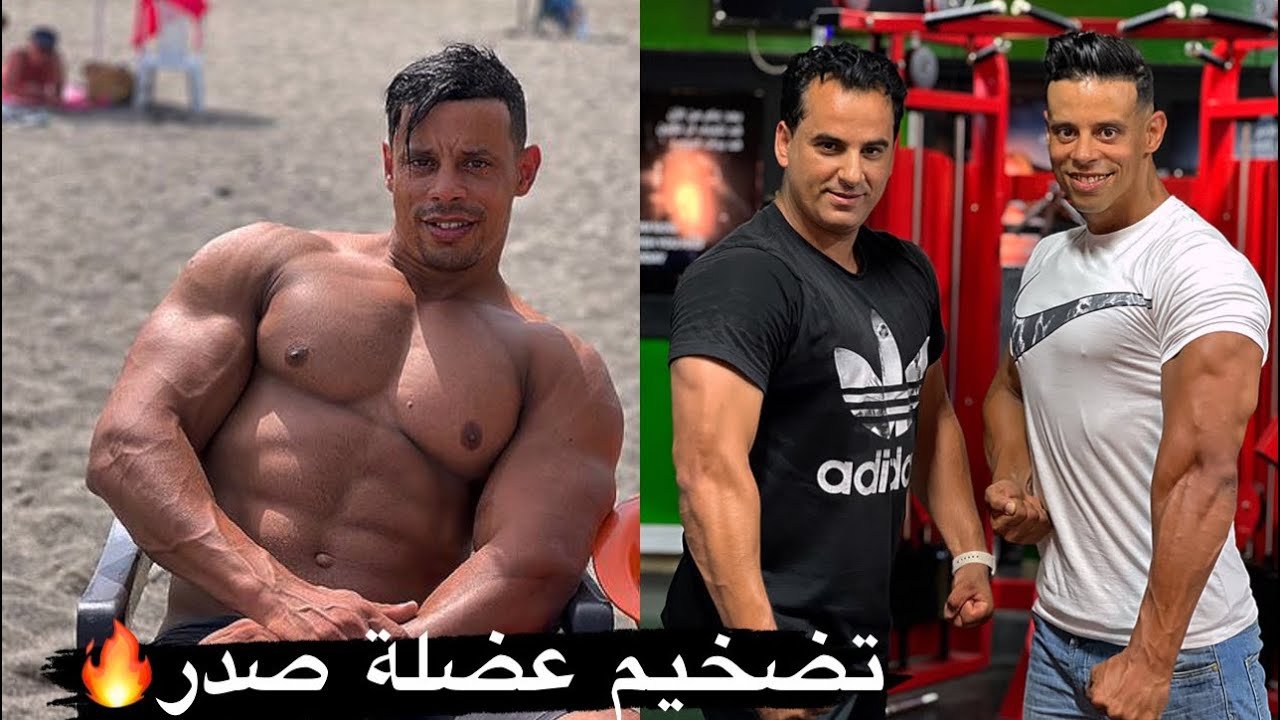 أحسن وجبة مفتوحة تضخيم عضلة صدر