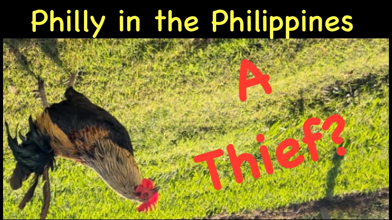 Is Philly in the Philippines a Thief?  Make up your own mind...