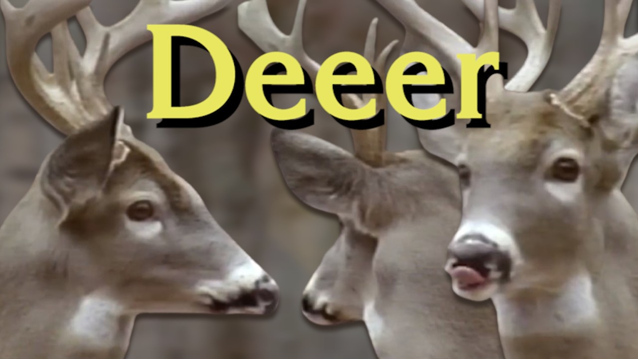 {YTP} ~ Deeer