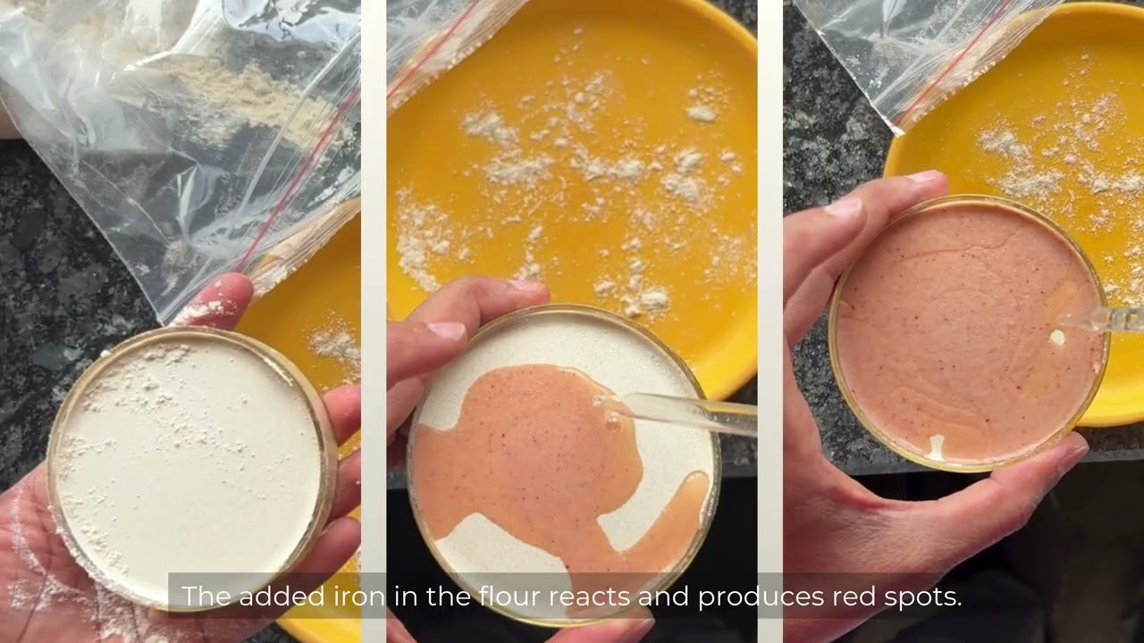Iron Lens: Verifying Food Fortification in 30 Seconds