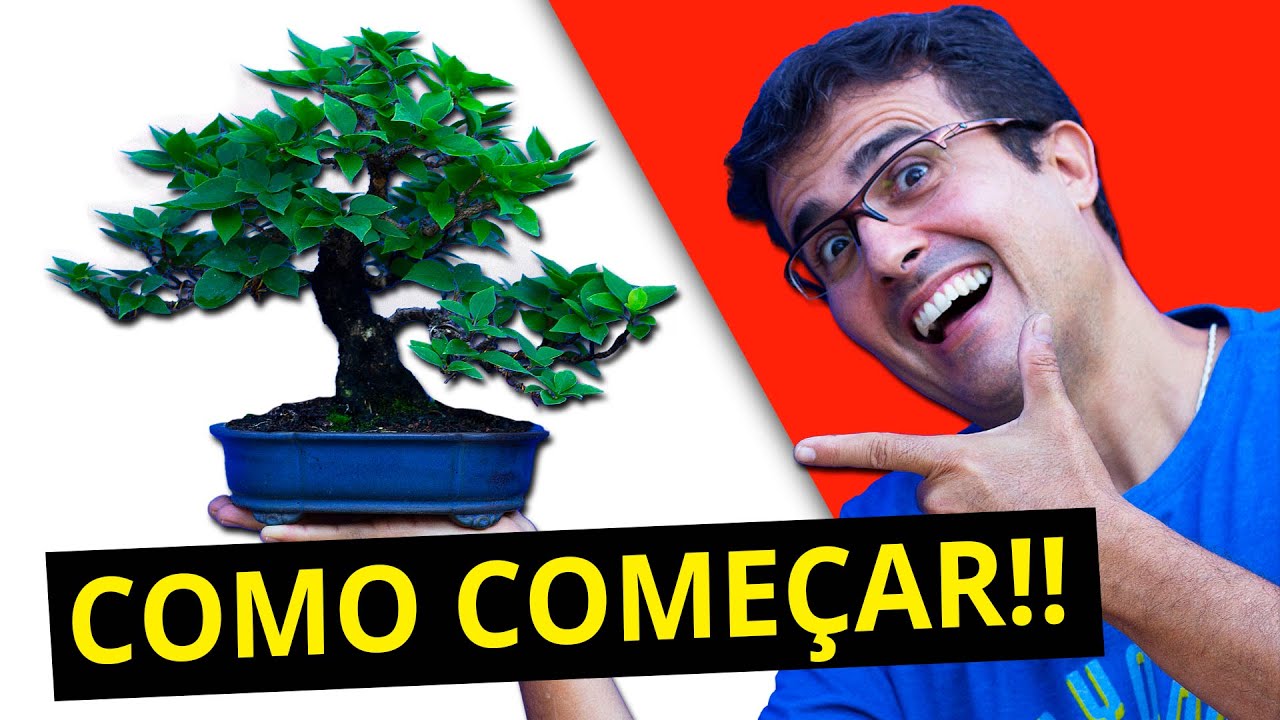 COMO COMEÇAR NO BONSAI! - BONSAI PARA INICIANTES