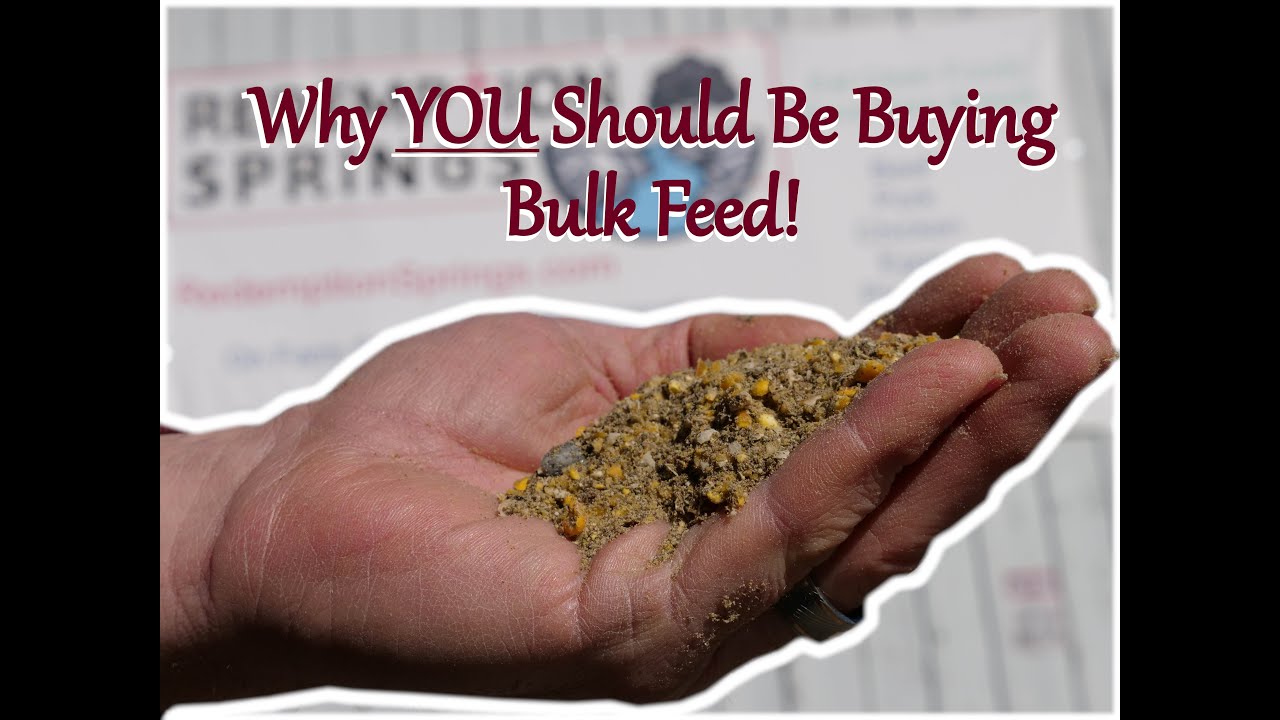 Local Farms: Buy Bulk Fresh Feed to Serve Your Community! 🐔