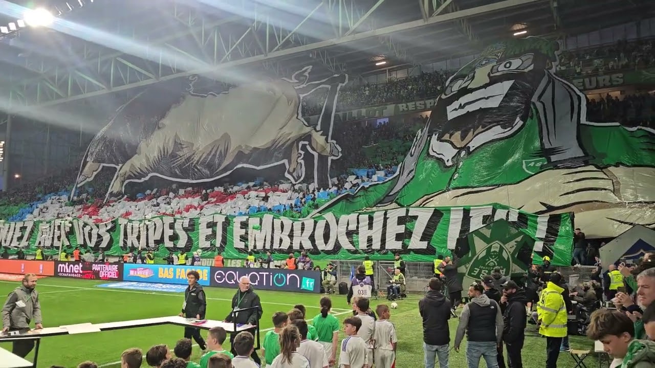 Saint Etienne 2-0 Olympique Lyonnais choreographies