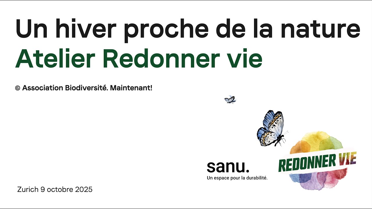 Un hiver proche de la nature – Conseils pour le jardin et le balcon| Aterlier Redonner vie