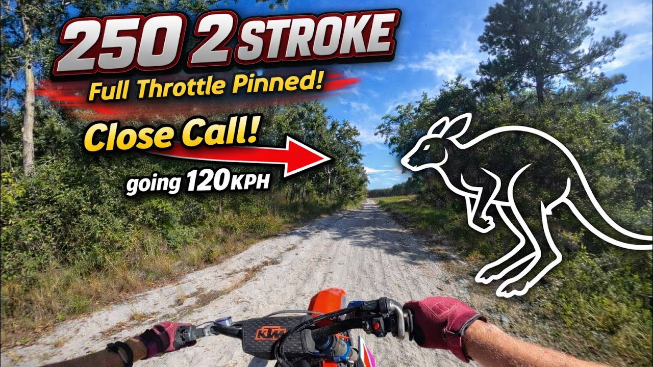 250 2 stroke FULL pinned 