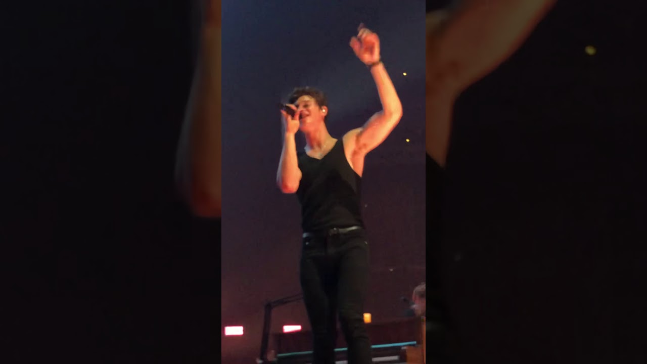Shawn Mendes “Particular Taste” Louisville Ky Live 8/3/19 front row