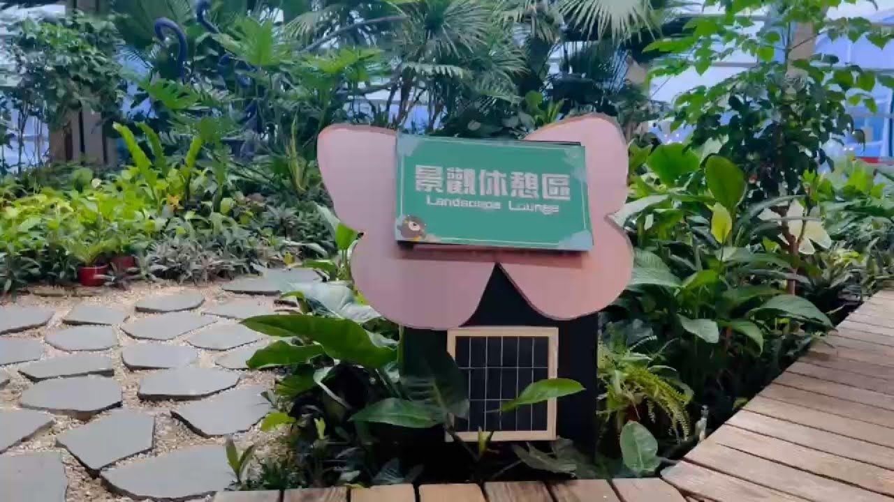 Gia Đình Cho Bé Bin Về Việt Nam Thăm Ông Bà Ngoại ❤️