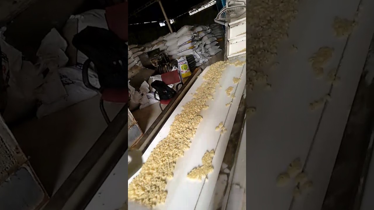 Pasta Plant - Ankur Malhotra - SK Industries -  0091 9891214511