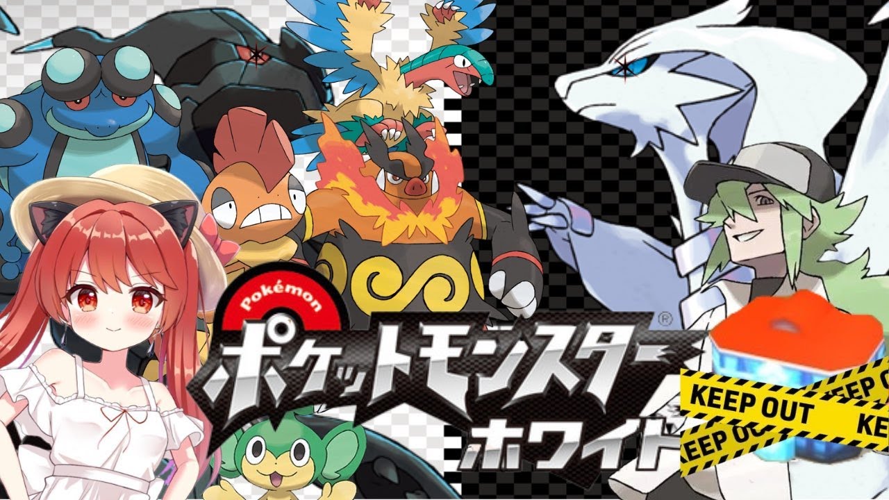 【超高難易度】超不死鳥のポケセン縛り　～ポケットモンスターホワイトver～　#9.5