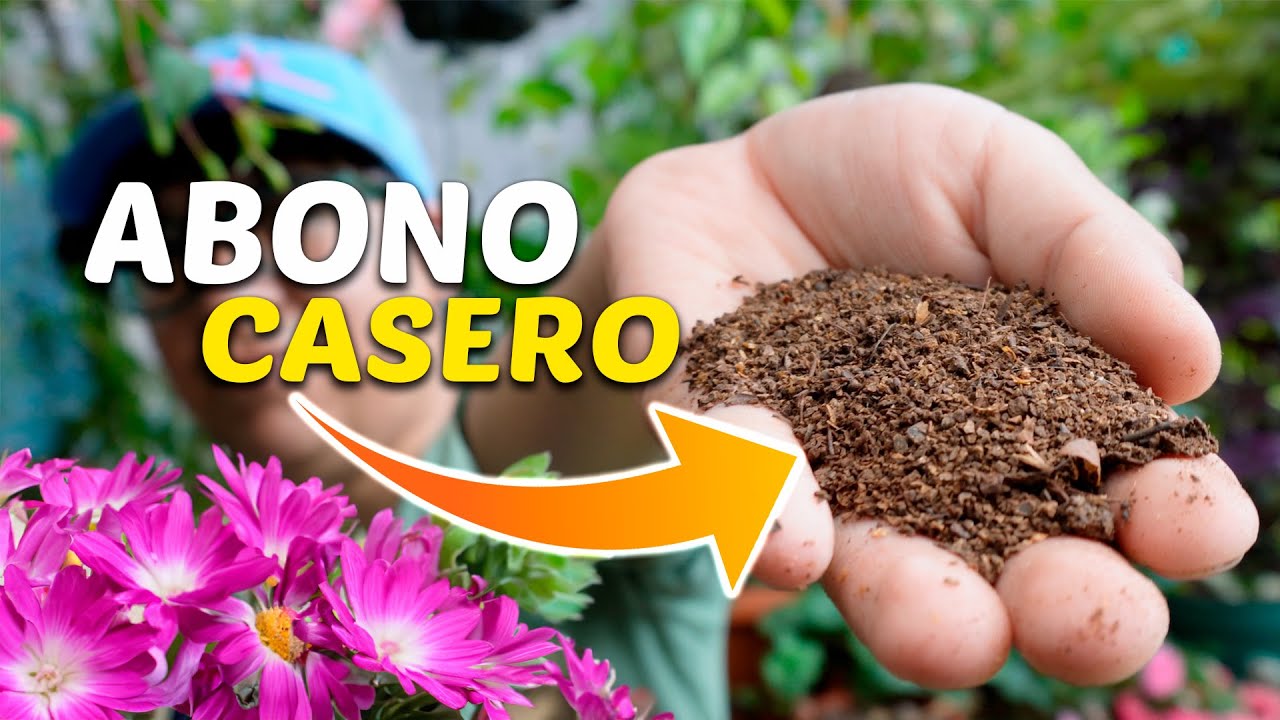 EL ABONO casero PERFECTO para tus PLANTAS con la BORRA DEL CAFE - abono para plantas