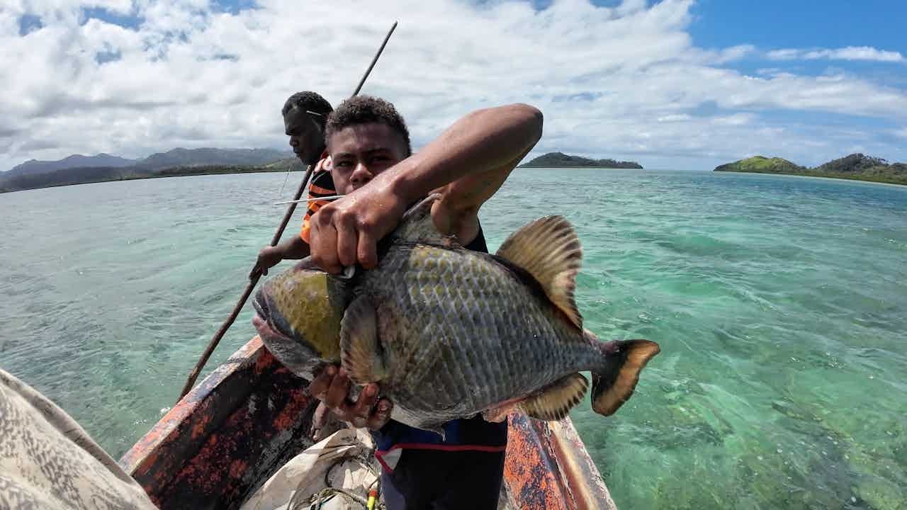 Fishing during High Tide With The Village Boys (Qoli Samusamu) (Catch, Clean, Cook)🐠🇫🇯