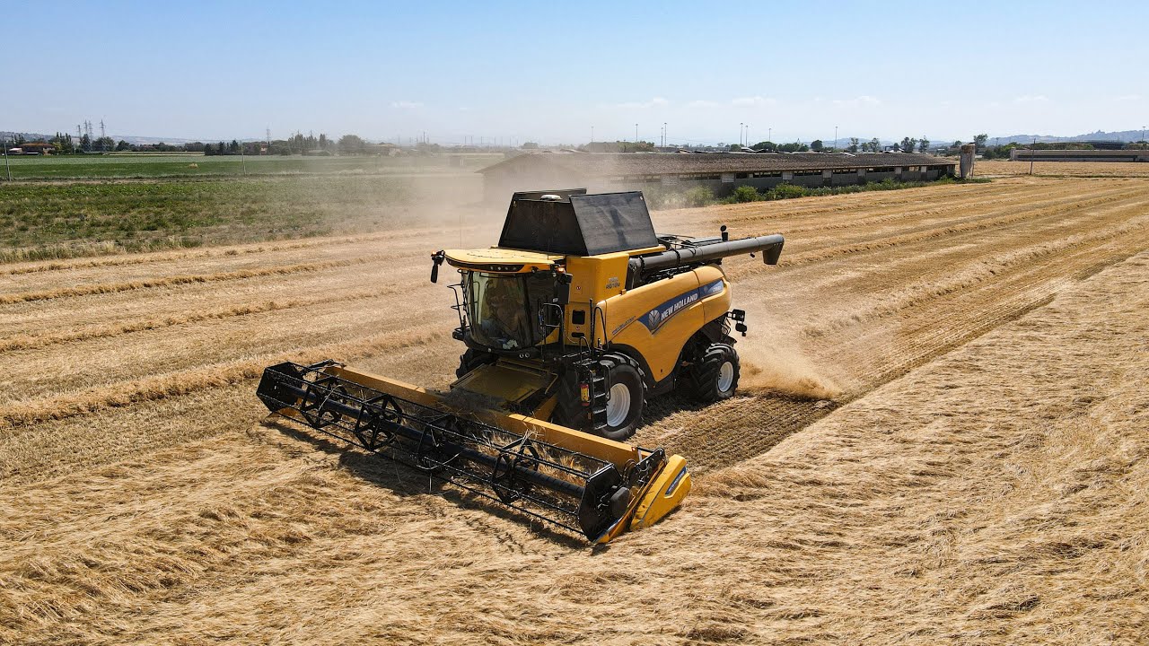 New Holland Cr 9.80 | Trebbiatura 2022 | wheat harvest