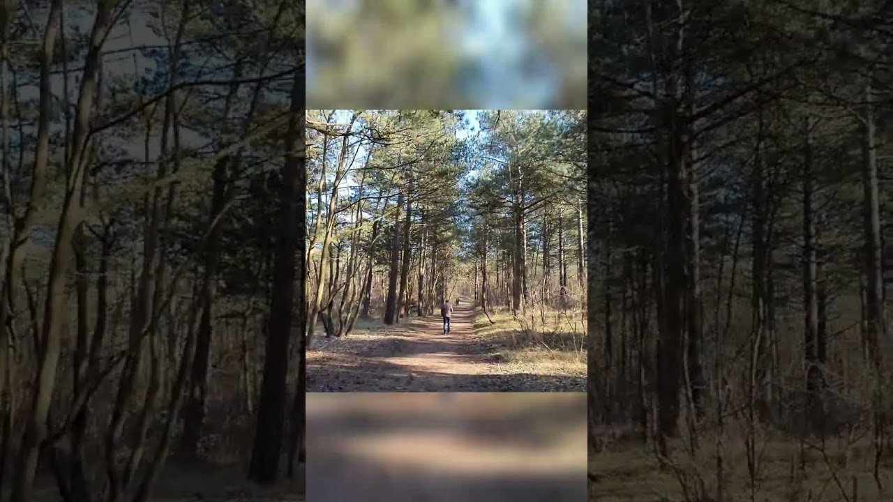 From Amsterdam to Schoorlse Duinen