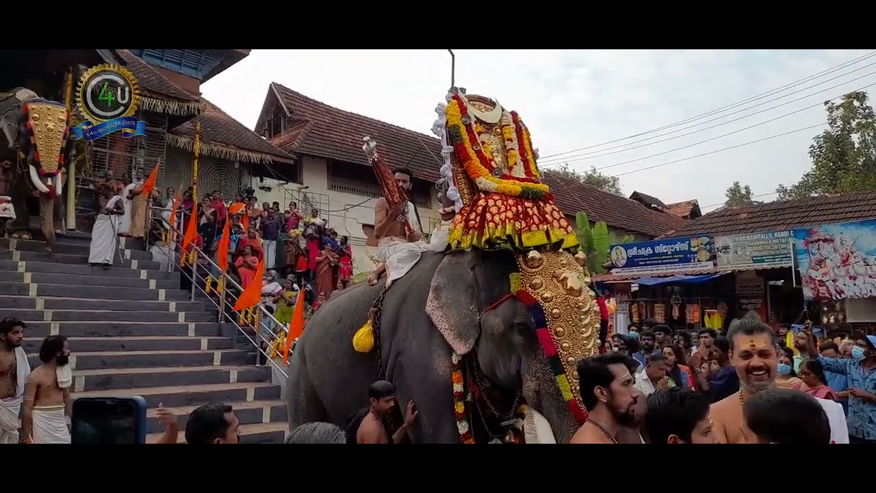 Aranmula Arattu