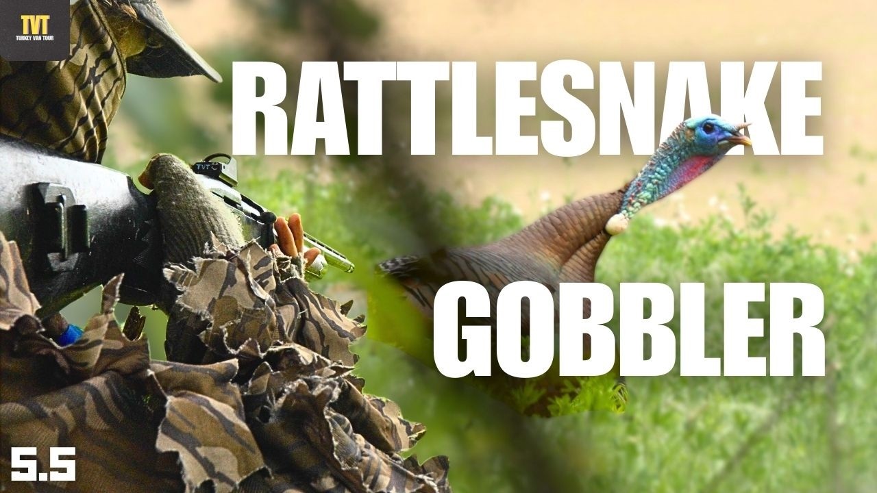 I called this bird in 3 TIMES! - GEORGIA Public Land Turkey Hunting