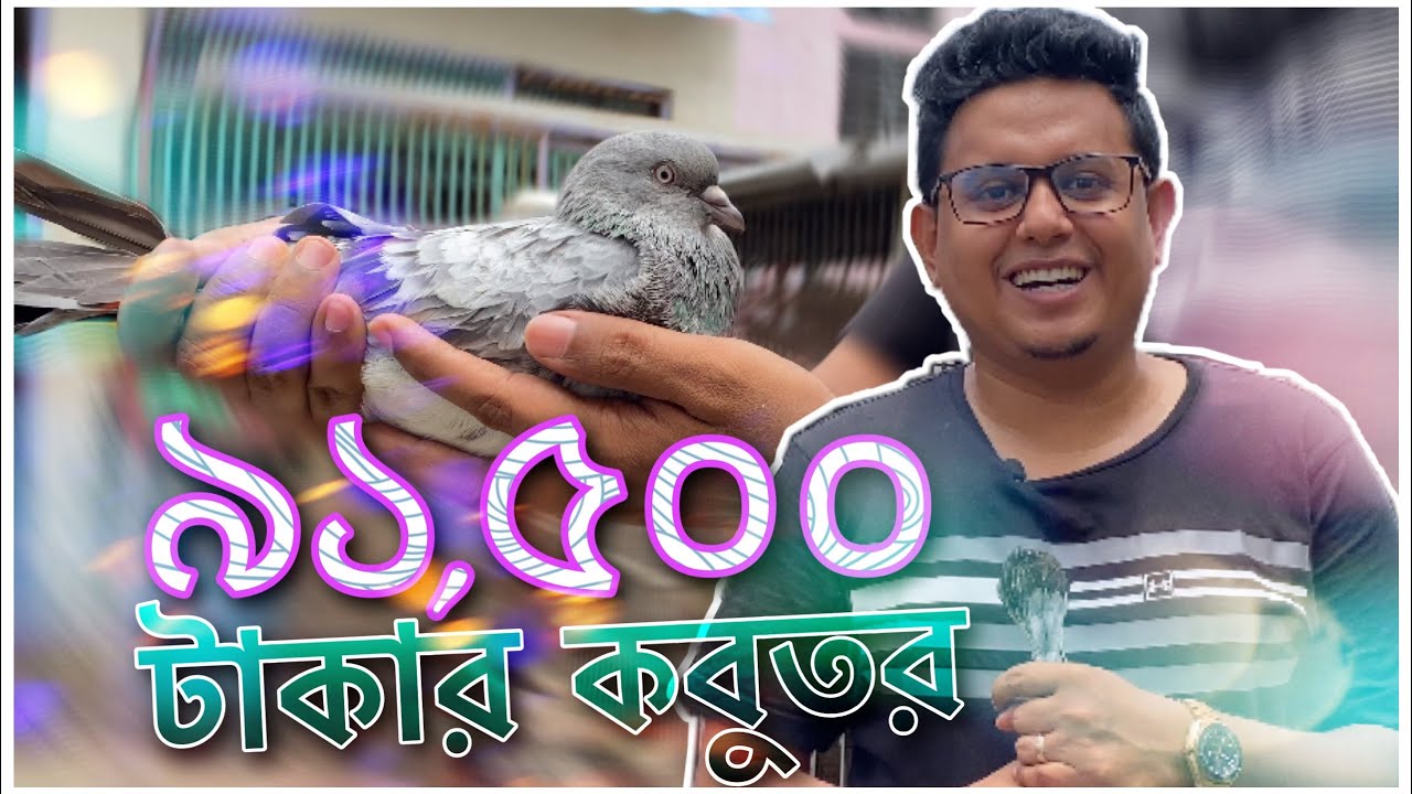 ক্যাপ্টেন স্বপন ভাইয়ের সিলভার কবুতর | @Hobbies & Pigeons