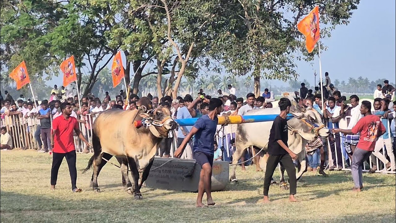 Gandavaram yadhulu pandalu 14-2-2026 