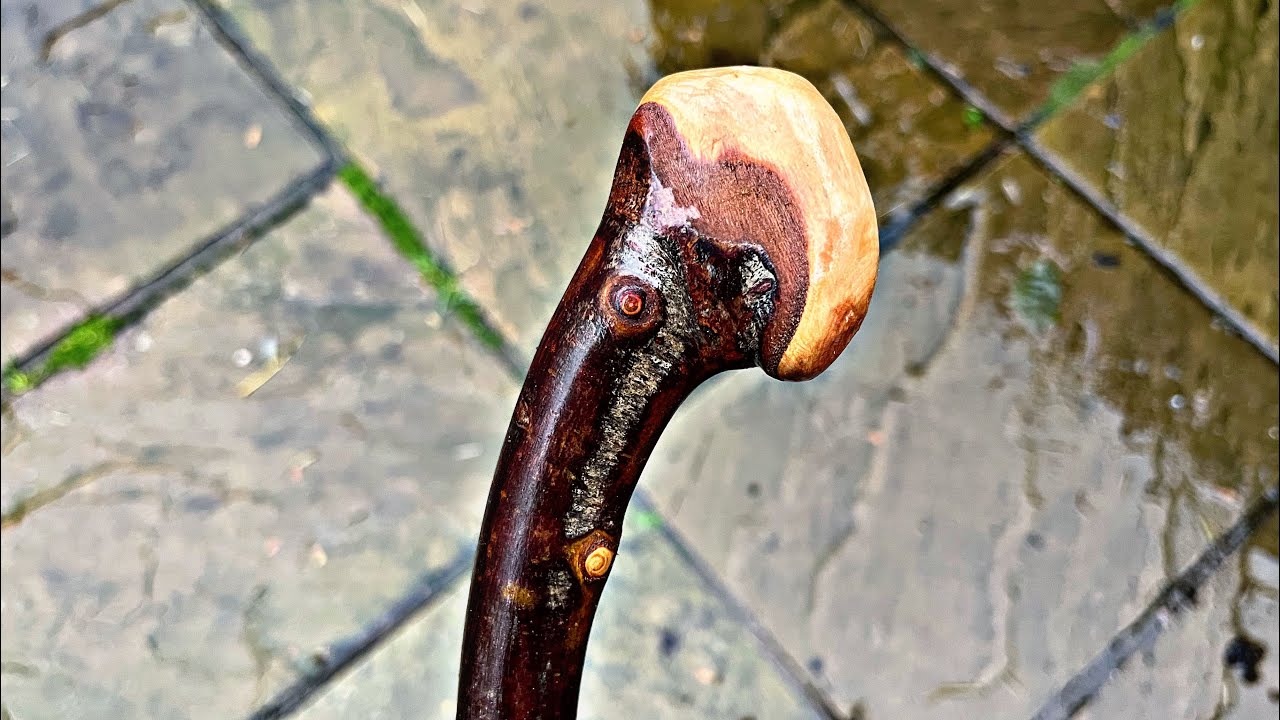 Beautiful Blackthorn Shillelagh Walking Stick