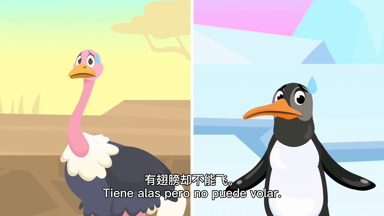 Niǎo l&egrave;i de t&egrave;zhēng鸟类的特征   Caracter&iacute;sticas de las aves