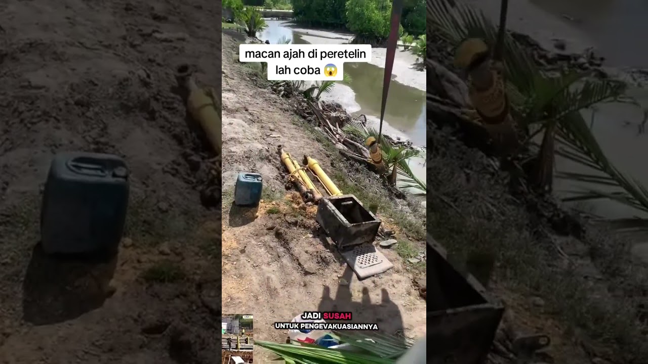 Di pretelin #excavator #automobile #1000subscriber #1millionviews