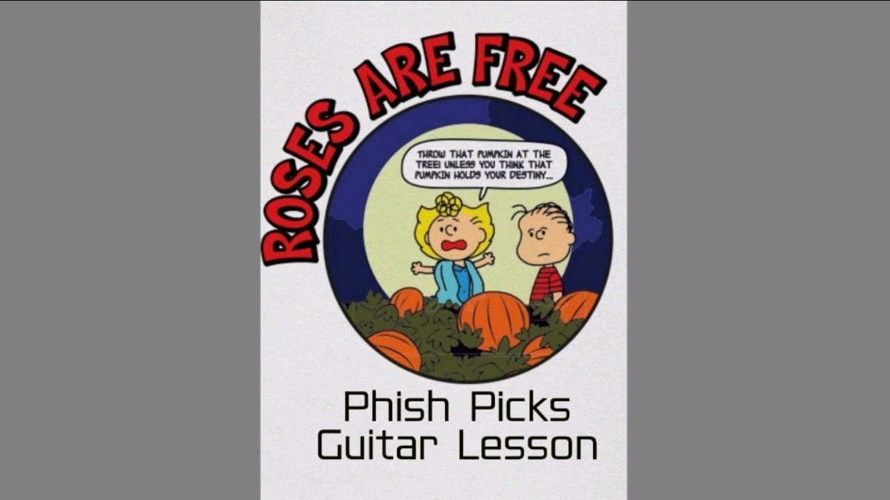 Phish/Ween - Roses are Free Guitar Lesson