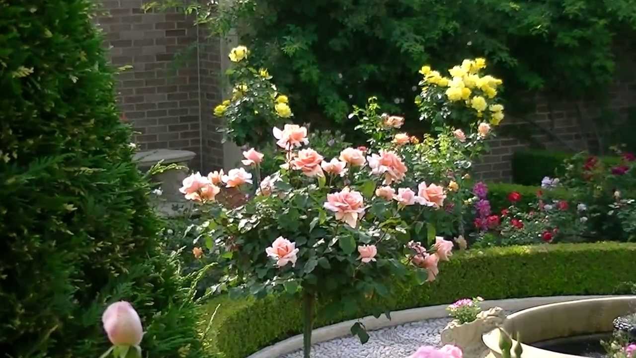 Kingswell Formal Garden