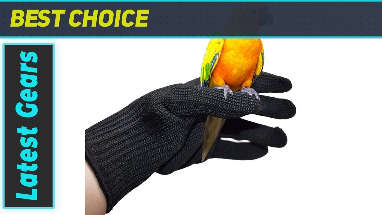Camidy Bird Training Anti-Bite Gloves: Best Protective Gear for Handling Parrots!