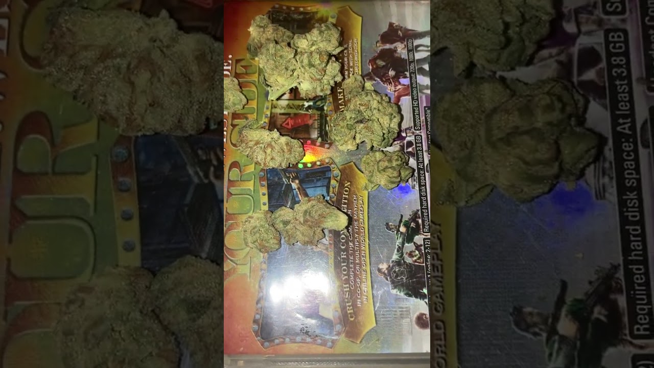 PTS PURE FLOWER MACNANNA STRAIN 2023