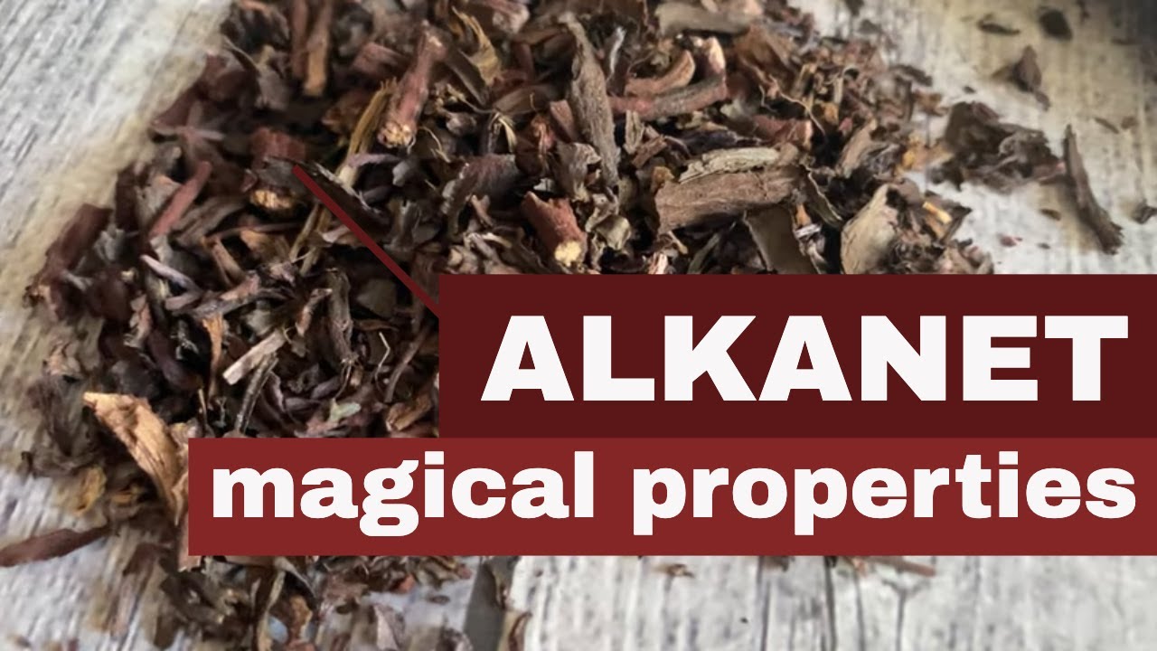 Alkanet Magical Properties