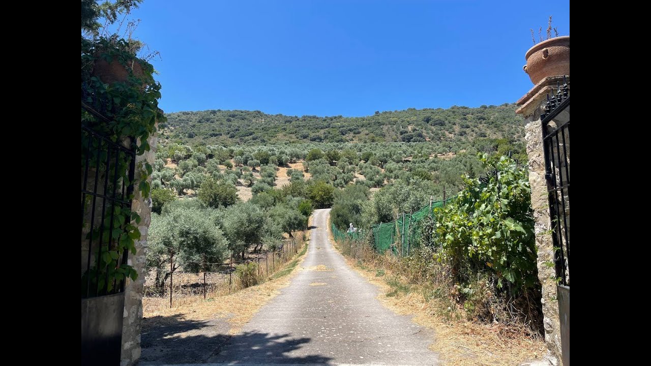 Cañuelo  Gaidovar  Grazalema  Palomas