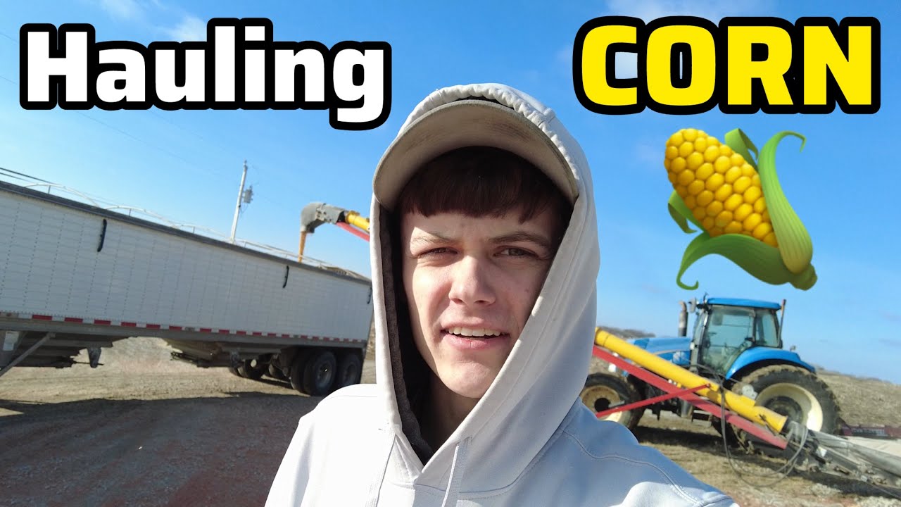 20 year old Farmer Hauling Grain to the City
