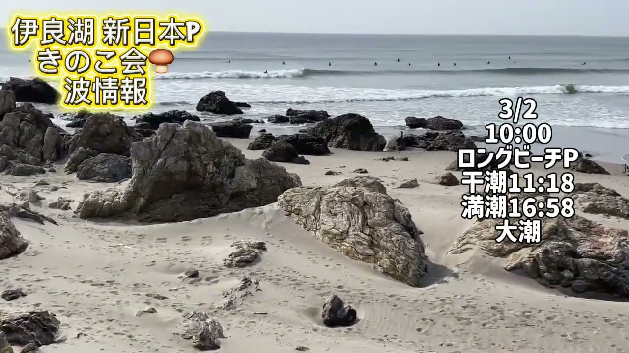 3/2 10:00 太平洋ロングビーチP【伊良湖波情報】2026年