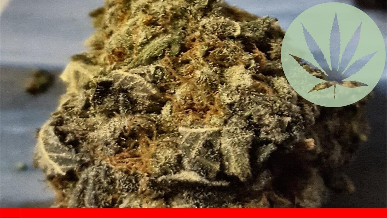Death Bubba - All About This Strain