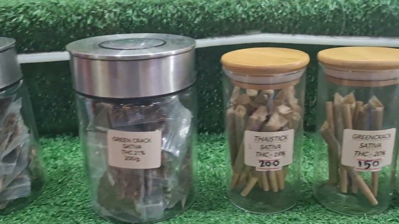 Weed in phuket patong Thailand #spliff#smoke#joint Please subscribe more videos coming 