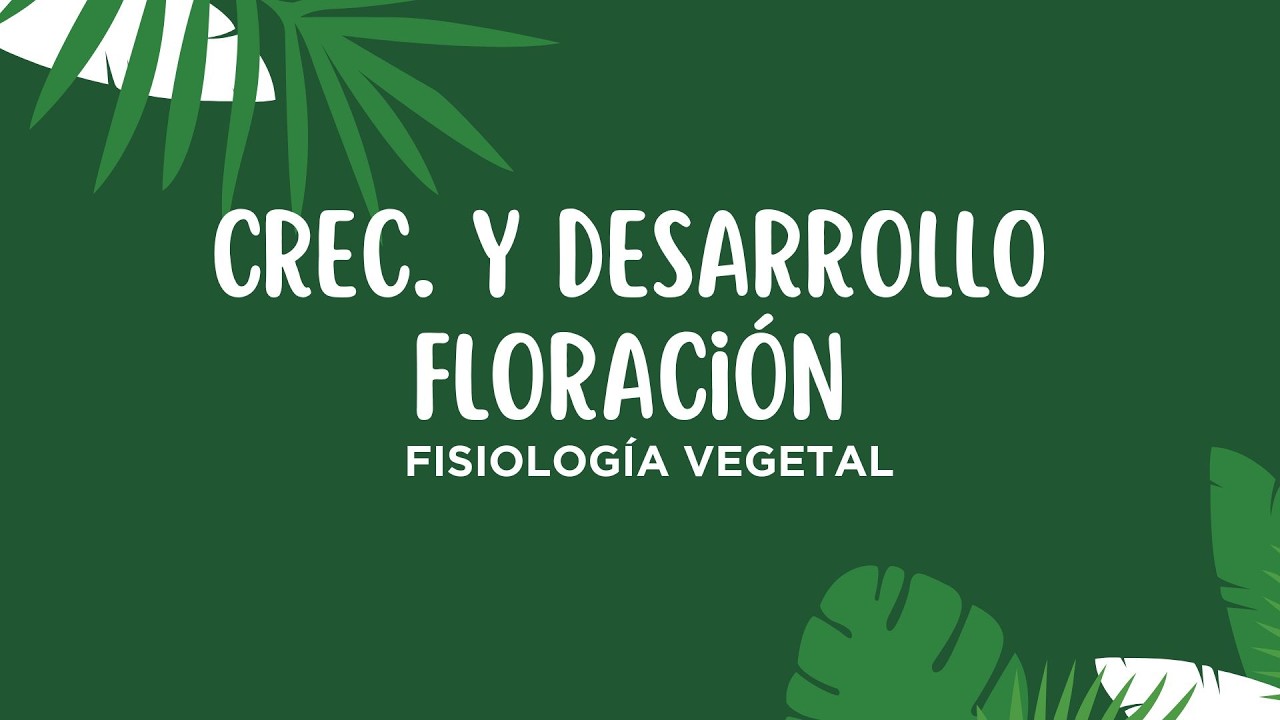 Crecimiento y desarrollo - Floración