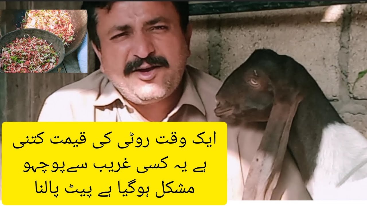 ایک وقت روٹی کی قیمت کتنی ہے یہ کسی غریب سے پوچہو مشکل ہوگیا ہے پیٹ پالنا  aijazvillagelife