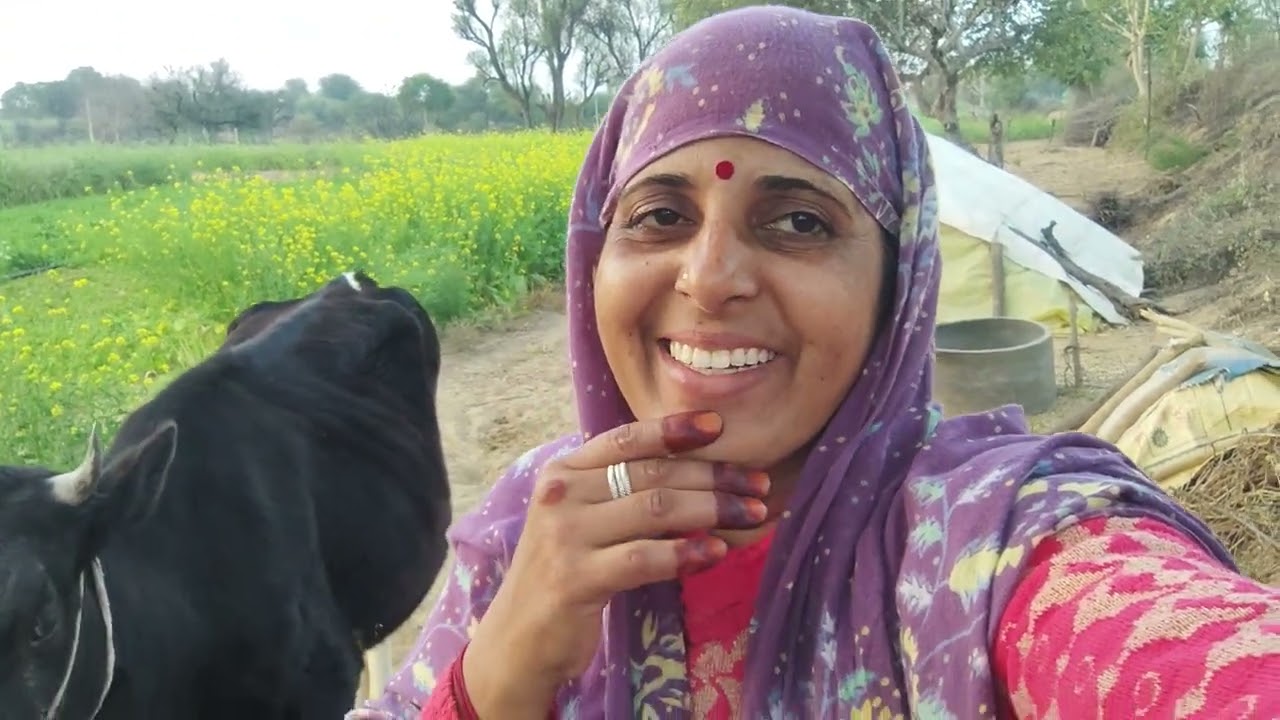 31 जनवरी 2026