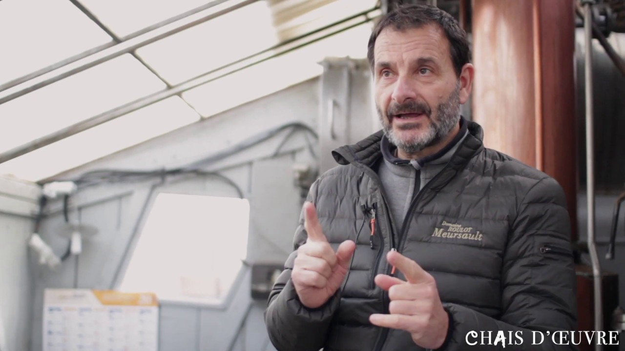 Interview de Jean-Marc Roulot, vigneron à Meursault, sur l'Abricot