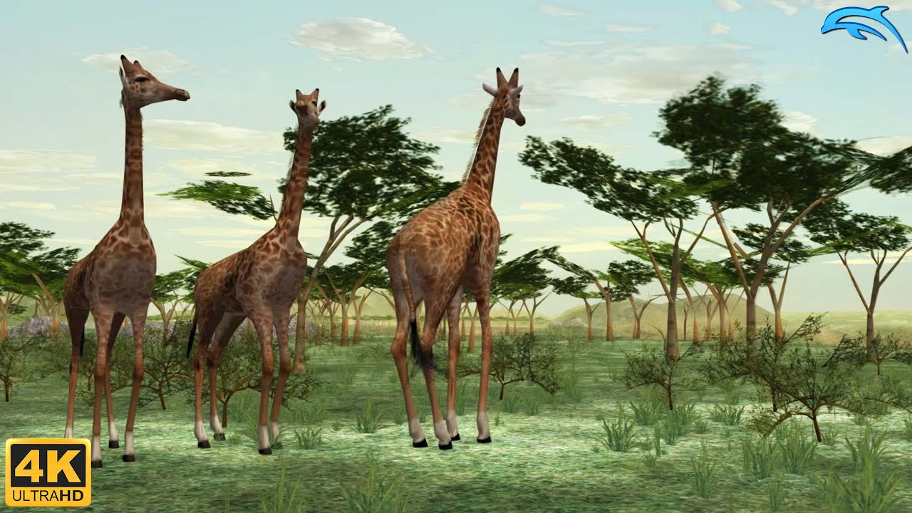Wild Earth: African Safari - Wii Gameplay 4k 2160p (DOLPHIN)