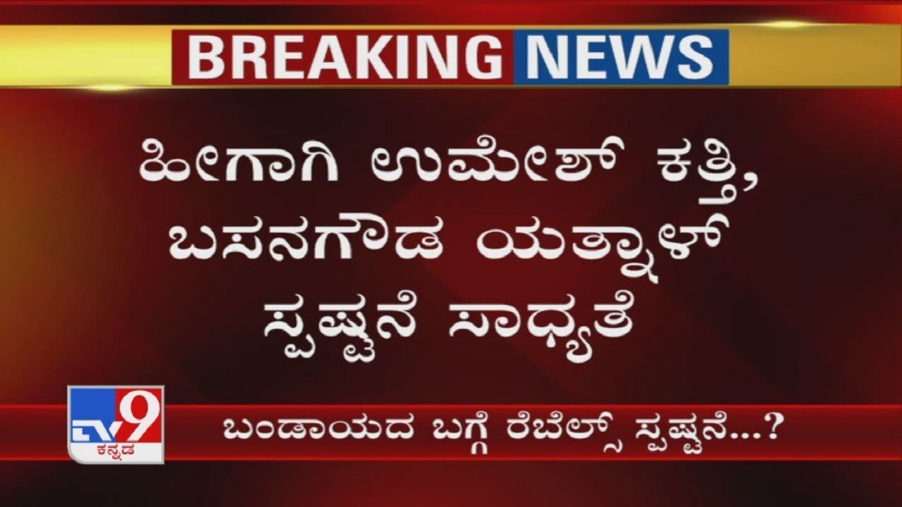 Dissidence In Karnataka: BJP Rebel Leaders Likely To Clarify Over Yesterday's Secret Meet Today?